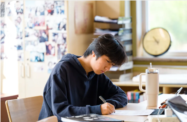 喜报 | 大连华美2025年大学录取情况汇总(图1)