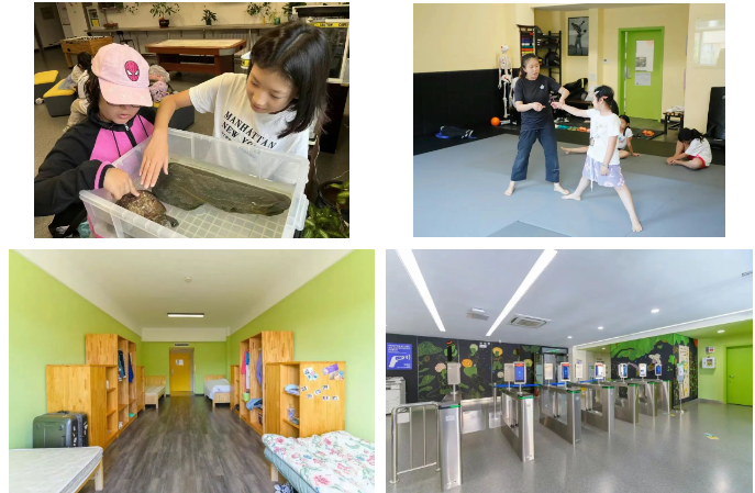 今年暑假 | 2025英文科学夏令营！SUMMER CAMP 2025(图2)
