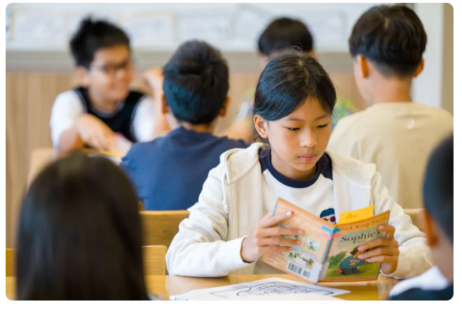 大连华美双语学校双语过渡适应课程（Bilingual Transition Program） (图7)